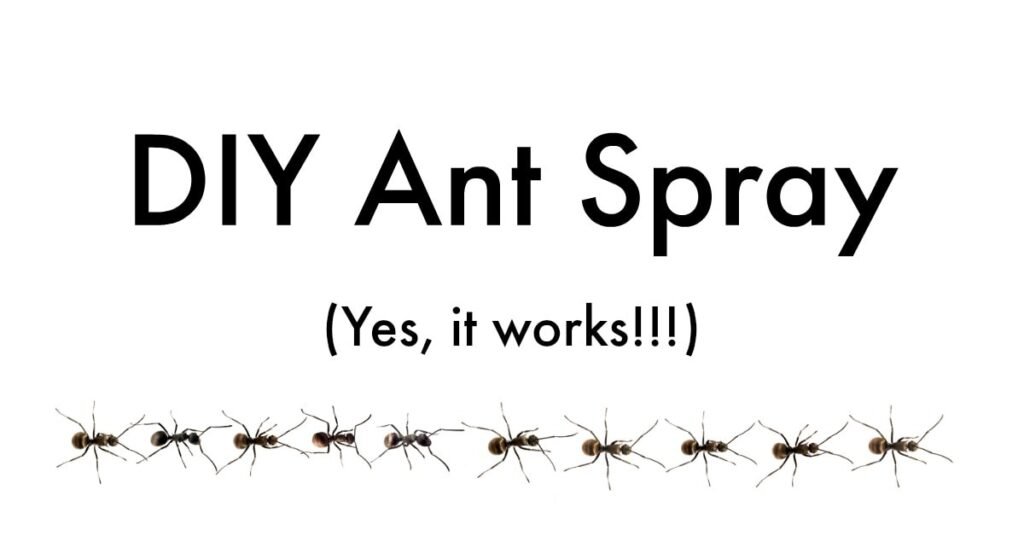 Ant Extermination Safe For Pets: Pet-Friendly Approaches To Ant Control