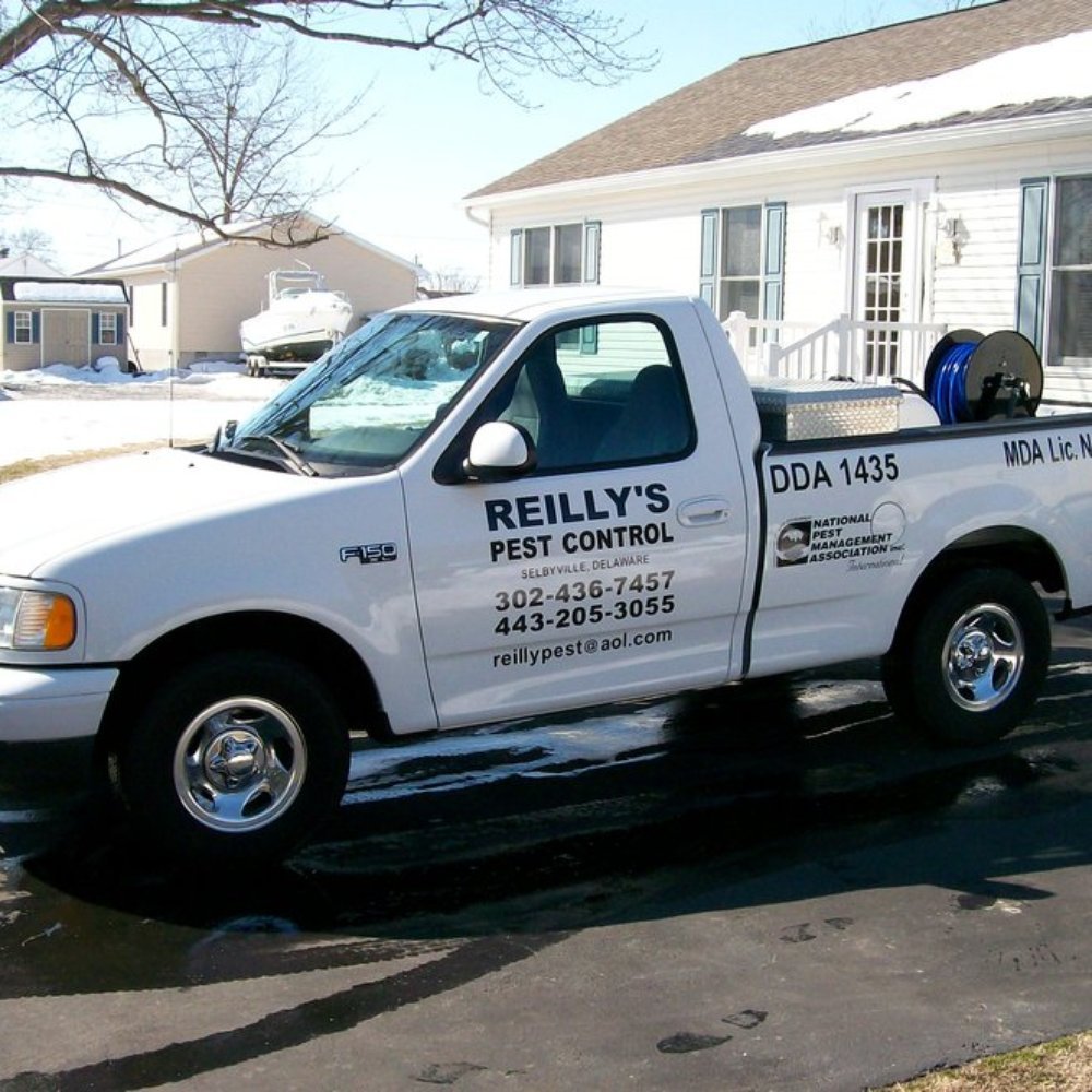 Ant Exterminator In Millville DE: Professional Ant Control Services In Millville Delaware