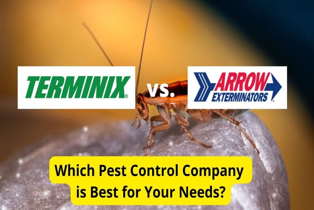 Are There Any Affordable Exterminator Options For Ant Control Without Compromising On Quality?