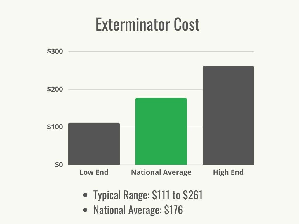 Average Cost For Skunk Removal: Factors That Affect Pricing