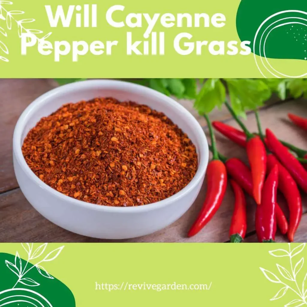 Can I Sprinkle Cayenne Pepper In My Yard?