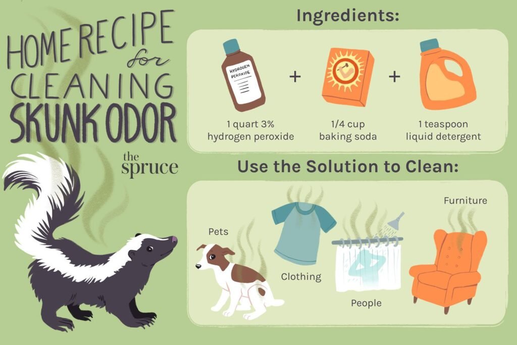 Can You Remove Skunk Scent Glands? Understanding The Challenges Of Skunk Odor Removal