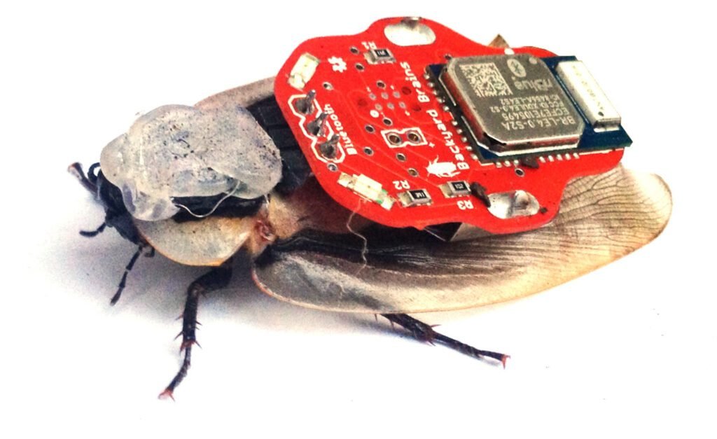 Control Cockroach With IPhone: Exploring The Power Of Technology In Pest Management