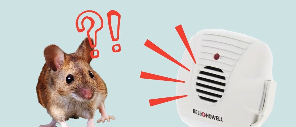 Do Plug In Rodent Repellents Work?