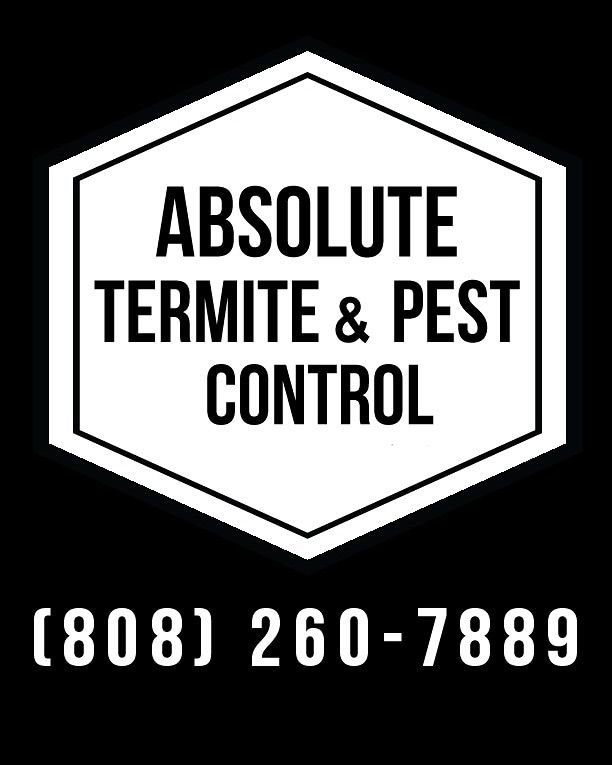 Does Absolute Termite And Pest Control Offer Any Guarantees On Their Services?