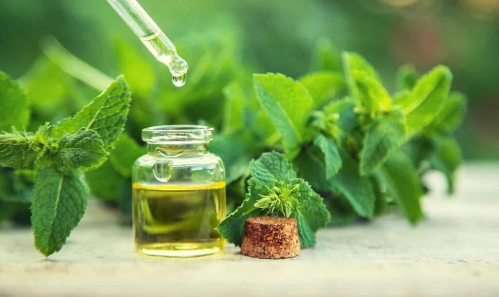 Does Peppermint Oil Attract Any Animals?