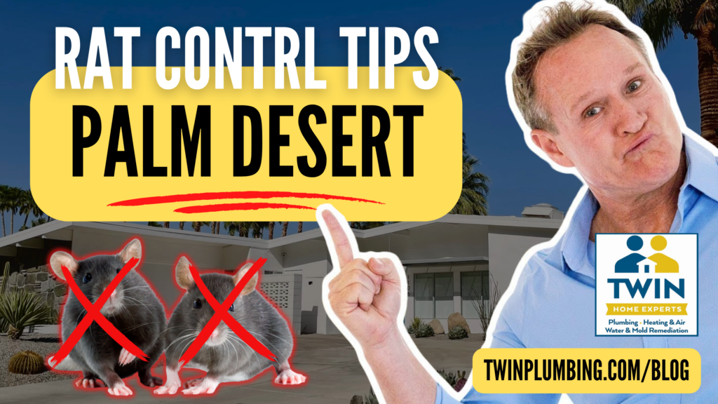 Does Rodent Control In Palm Desert Provide Long-Term Solutions To Prevent Future Infestations?