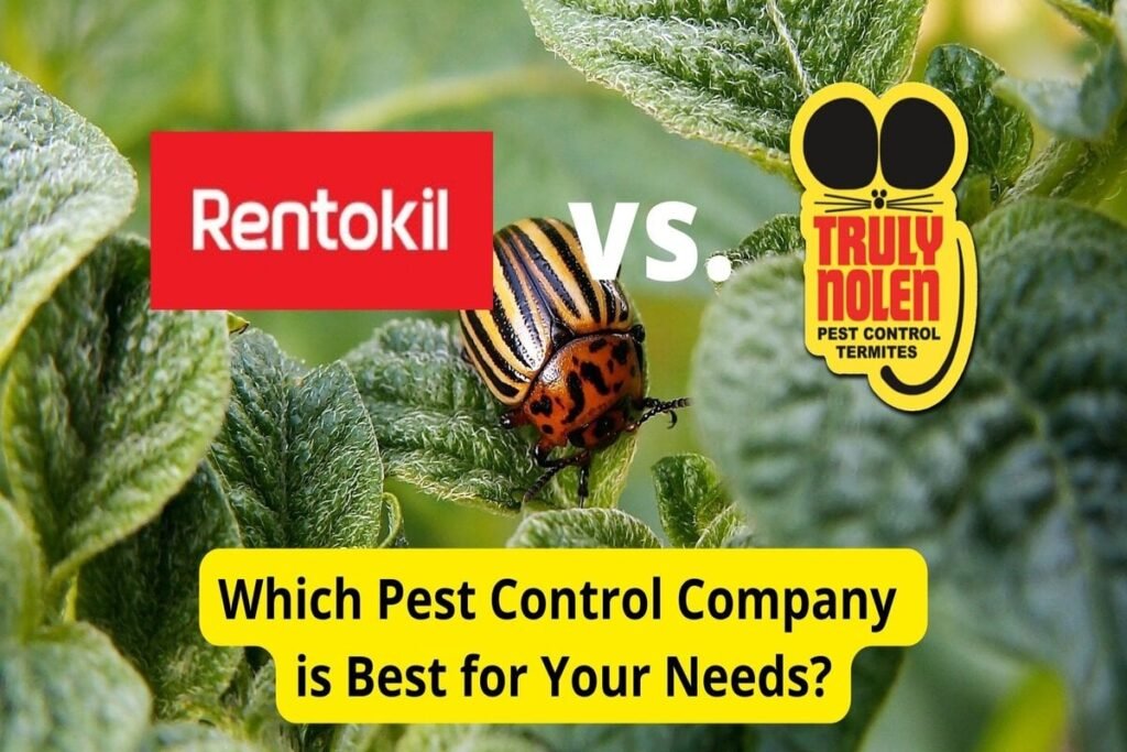 Does Truly Nolen Pest & Termite Control Offer Eco-Friendly Pest Solutions?