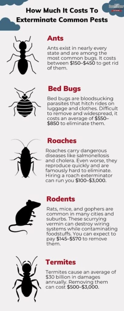Exterminator Prices For Ants: Comparing Pest Control Services For Ant Infestations