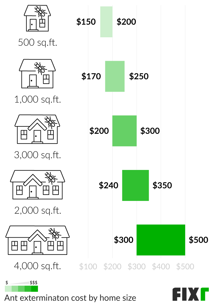 Exterminator Prices For Ants: How Much Does Professional Ant Control Cost?