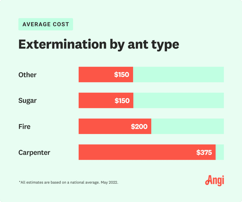 Exterminator Prices For Ants: How Much Does Professional Ant Control Cost?