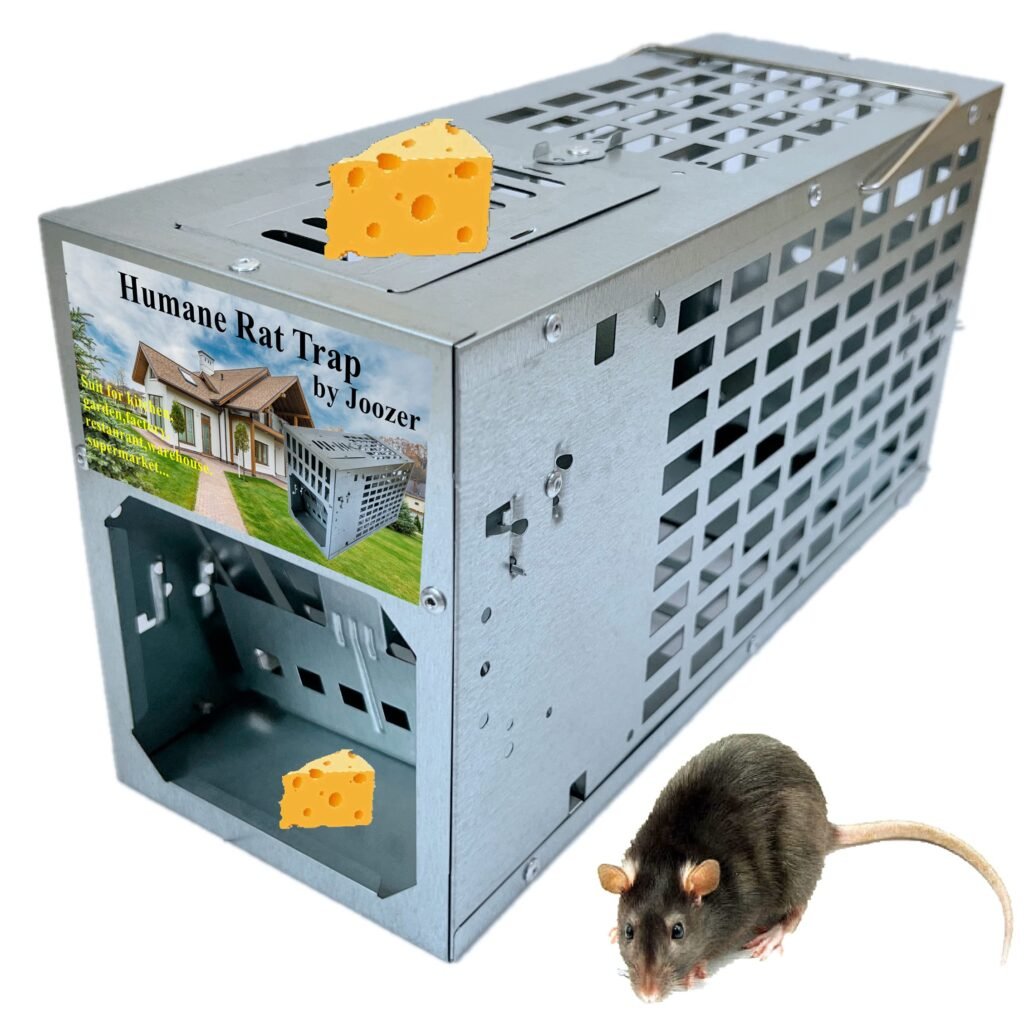 How Does The Ultrapro Rat Trap Improve Rat Catching Efficiency