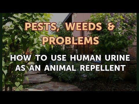 Is Using Human Urine As An Animal Repellent Safe And Effective?