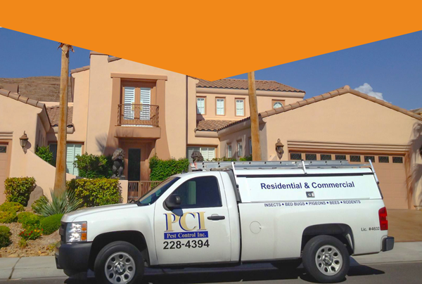 Rodent Control Las Vegas: Professional Services To Keep Your Property Safe