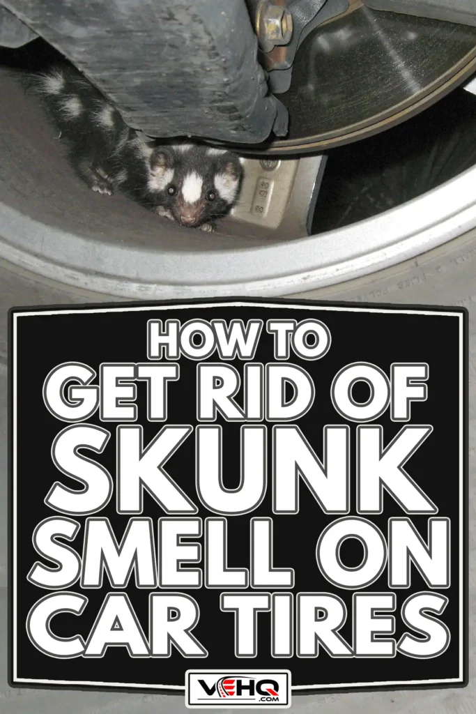 Skunk Smell Removal From Car: Tips And Tricks For Eliminating Lingering Odors