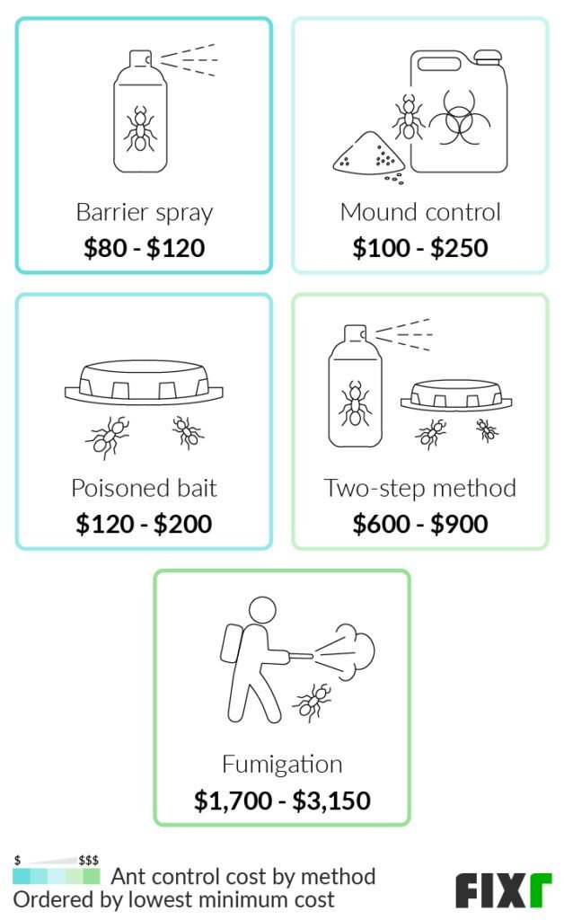 What Additional Services Are Included In The Exterminator Prices For Ants Such As Follow-up Treatments?
