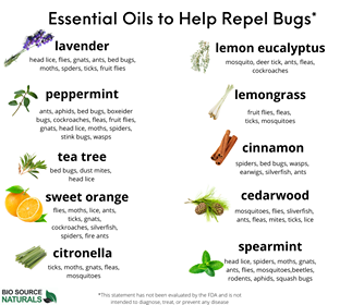 What Critters Does Peppermint Oil Repel?