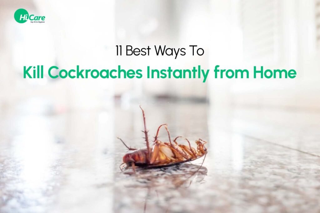 What Dries Out Roaches?