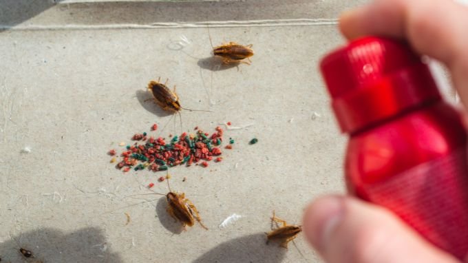 What Kills Roaches Instantly?
