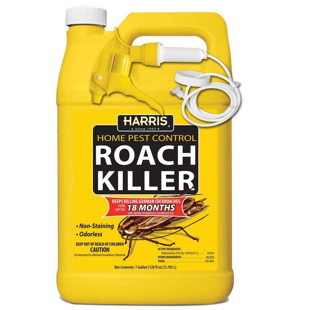 What Kills Roaches Overnight?